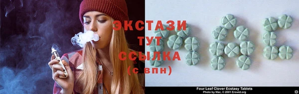 хмурый Аркадак