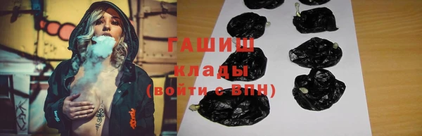 хмурый Аркадак