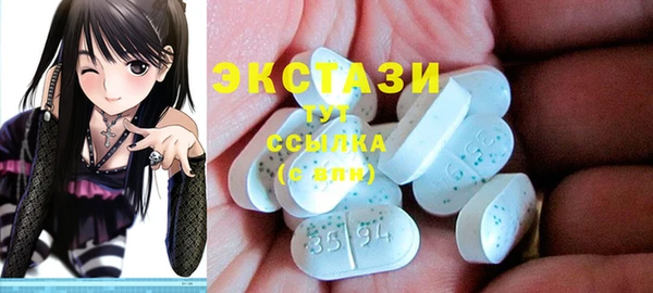 хмурый Аркадак