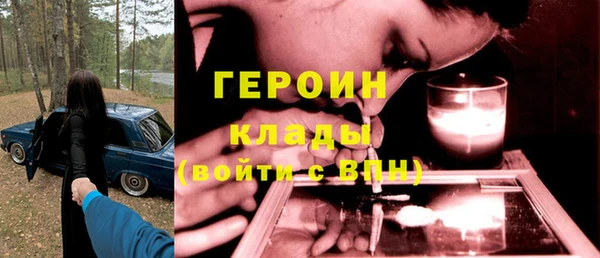 хмурый Аркадак