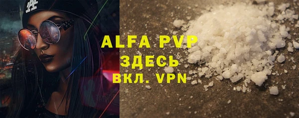 хмурый Аркадак