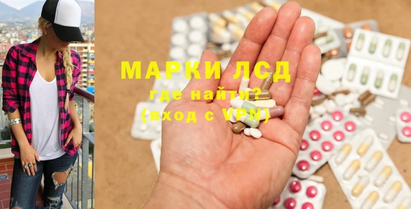 хмурый Аркадак