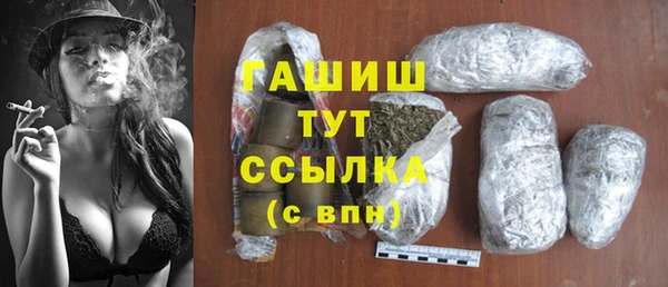 хмурый Аркадак