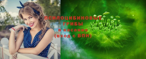 хмурый Аркадак
