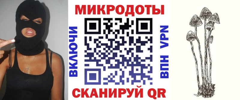 наркошоп  Рузаевка  Галлюциногенные грибы Psilocybe 